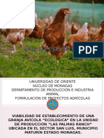 gallina ecologica presentacion.pptx