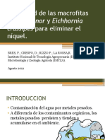 Capacidad de Las Macrofitas Lemna Minor y Eichhornia (FITORREMEDIACION)