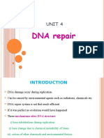 Unit 4 DNA Repair