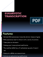 UNIT 13 eukaryotic transcription.pptx