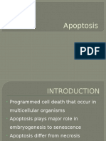 Apoptosis Cell Bio Unit 4
