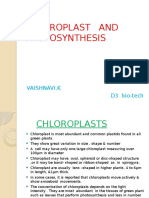 Chloroplast and Photosynthesis