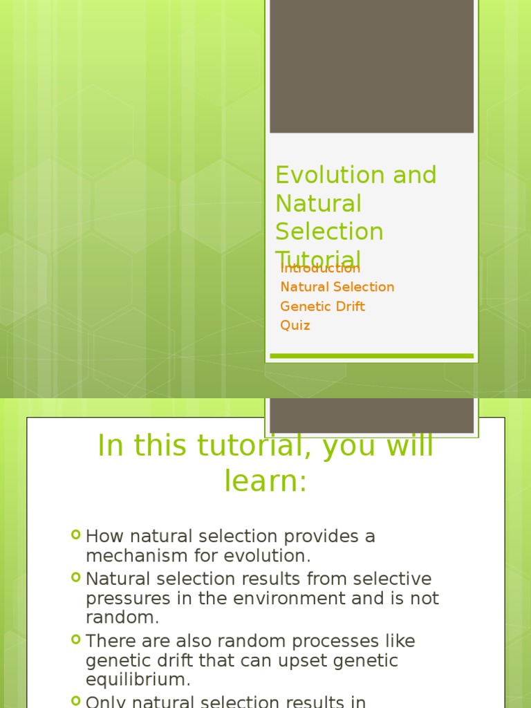 Evolution and Natural Selection Tutorial | PDF | Natural Selection ...