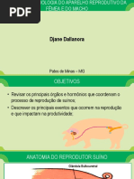 AULA 1 - ANATOMIA E FISIOLOGIA REPRODUTIVA.pdf