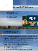 Cedera Akibat Bahan Kimia