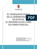 El Trabajador Social en La Administración de Justicia. El Informe Social Como Dictamen Pericial.