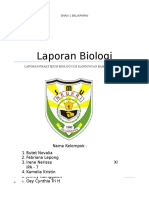 Laporan Praktikum Bio Uji Makanan