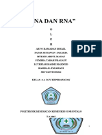 Makala Biokimia Kelompok 4 (DNA & RNA)