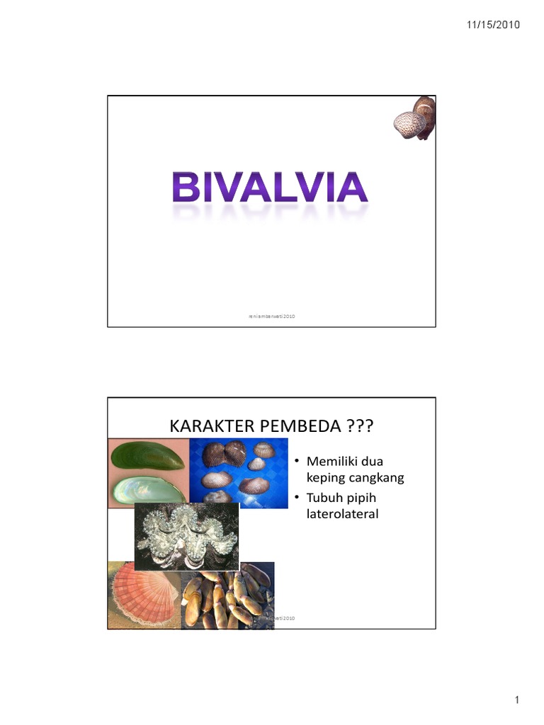 BIVALVIA