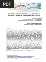 CAPACIDADE PRODUTIVA E EFICIÊNCIA DE PROCESSO
