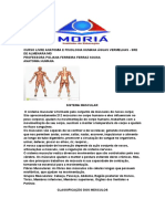 Curso Livre Anatomia e Fisiologia Humana Águas Vermelhas Muscular