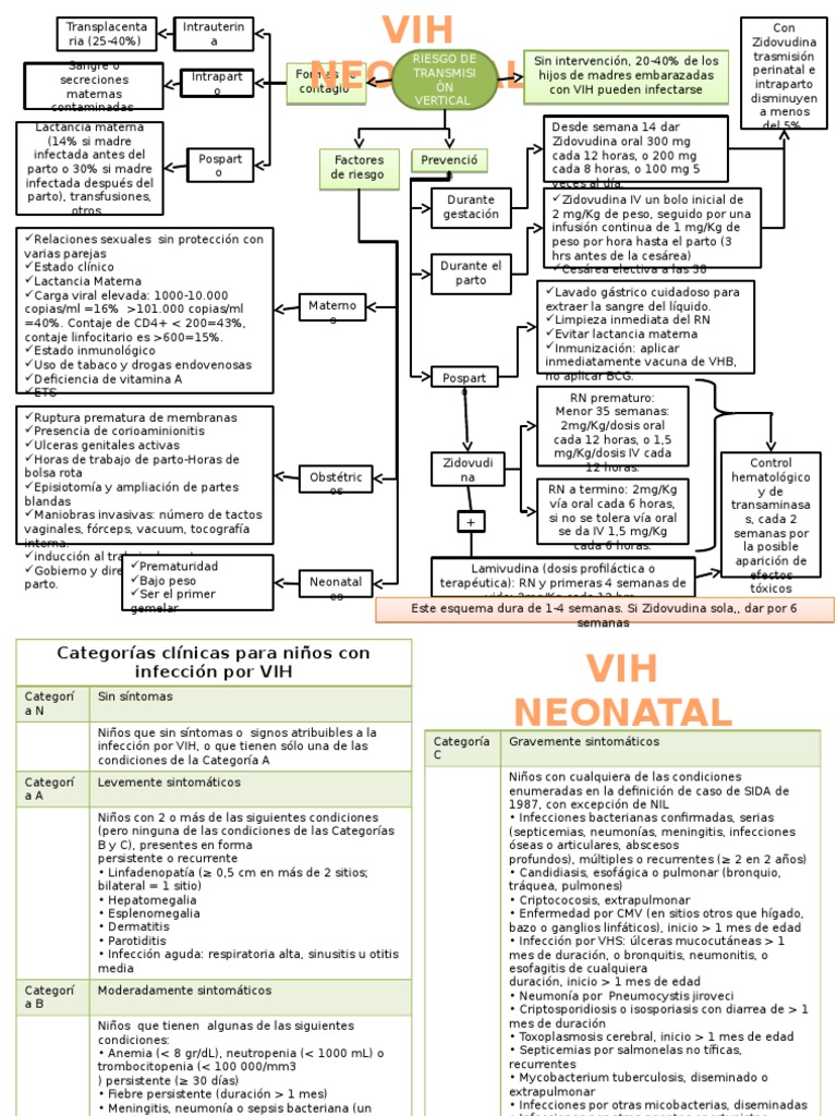 Mapa Mental VIH Neonatal 2012 Parto Virus
