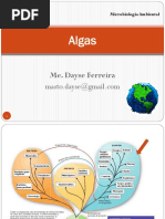 02. Microrganismos eucariontes e vírus