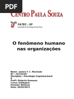 O Fenomeno Humano Nas Organizações