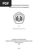 Download laporandrosophilabyHendrikNurfitriantoSN34261492 doc pdf