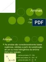 Aminas 120821182302 Phpapp02