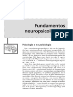 Neuropsicologia Dos Transtornos Mentais PDF