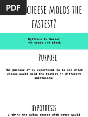 Which Cheese Molds The Fastest Pdf Mold Cheese
