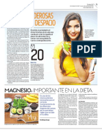 magnecio.pdf