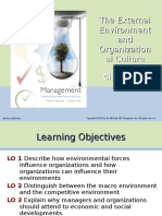 The External Environment and Organization Al Culture