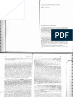 Comparacion y Explicacion Panebianco