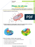 03 Clases de celulas - procariotas-eucariotas.pdf