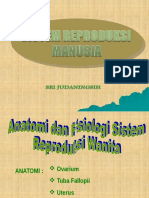 SISTEM REPRODUKSI MANUSIA (2).ppt