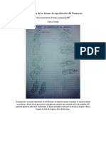 Untuña Carlos-NRC 3100-Comparación de Las Formas de Reproducción Del Paramecio
