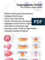 Organogenetic Period:: The Fourth To Eight Weeks