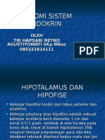 HIPOTALAMUS DAN HIPOFISE