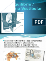 Sistema Vestibular (Fisiologia)