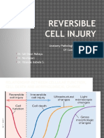 Reversible Cell Injury