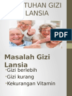 Kebutuhan Gizi Pada Lansia