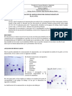 ORGANICA Informe 7