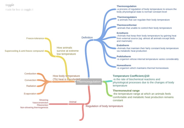 Thermoregulation.pdf Thermoregulation Homeostasis