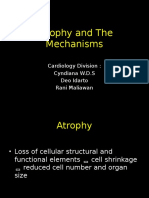 Atrophy and the Mechanisms-1