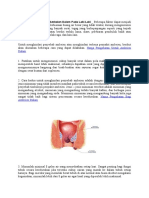 Nama Pengobatan Bagi Ambeien Dalam Pada Laki