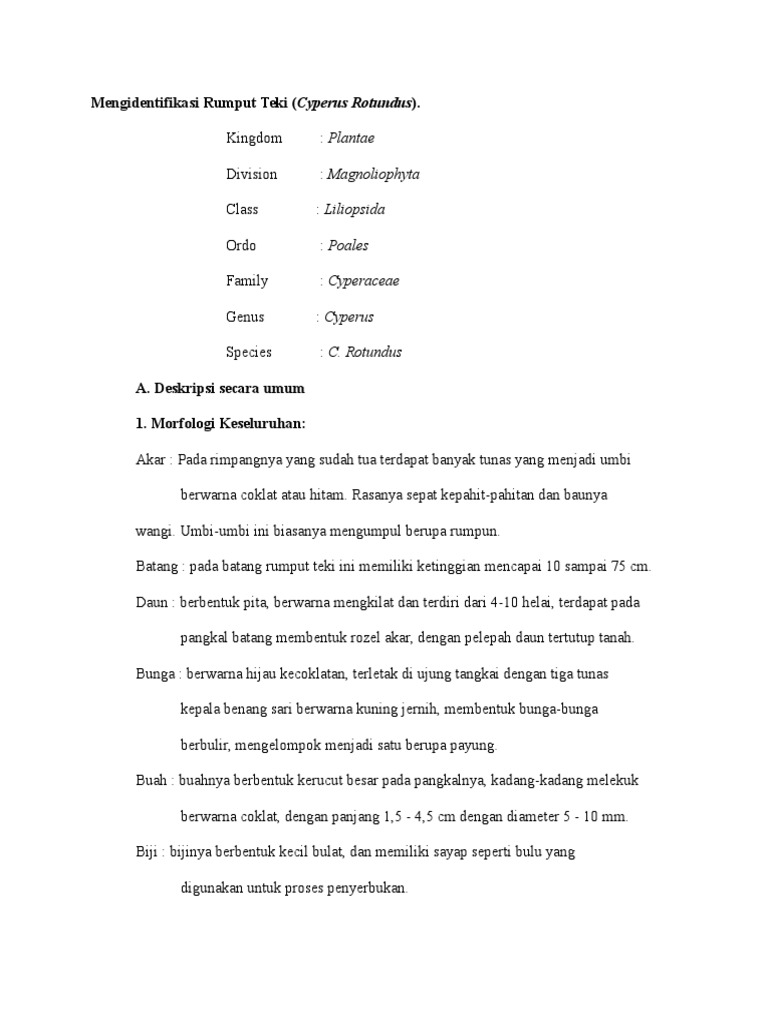 Morfologi dan Anatomi Rumput Teki | PDF | Griya & Taman | Sains ...