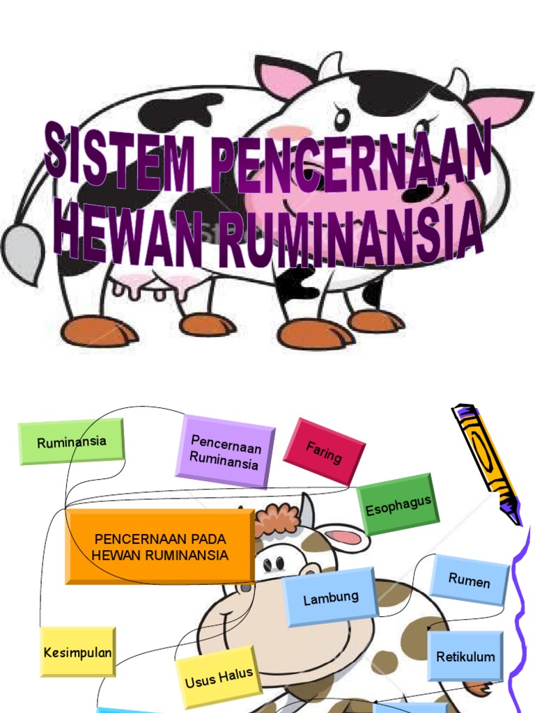 880+ Gambar Rongga Mulut Hewan Ruminansia Gratis Terbaik