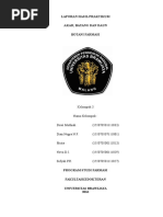 Download Botani Farmasi Kelompok 3 by dian nugra SN342687325 doc pdf