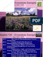 Lecture - Chapter 23 - Ecosystems