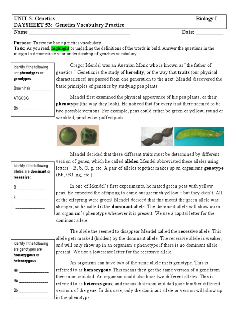 Activity 1 Vocabulary Literay Student Guide Dominance Genetics Zygosity