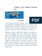 Contoh Descriptive Text Animal Tentang Lumba-Lumba: Dolphins