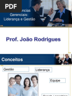 Aula 1 Competências Gerenciais