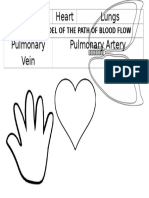 Vein Hand Heart Lungs Artery Pulmonary Vein Pulmonary Artery