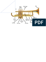 Parts of A Trumpet