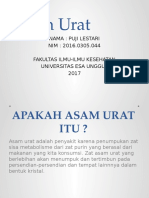 ASAM URAT