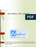 DELINUL SRL marketingul companiei