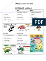 Animals Classification Vertebrate Animals: Mammals Fish Birds