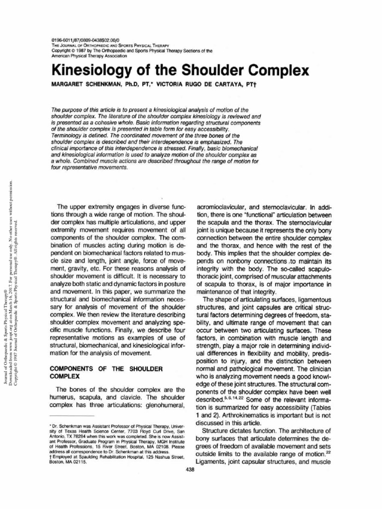 Kinesiology of Shoulder Complex | PDF | Shoulder | Anatomical Terms Of ...